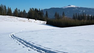 开云全站-世界青少年雪地徒步挑战赛在东北热情开跑，雪地徒步穿越