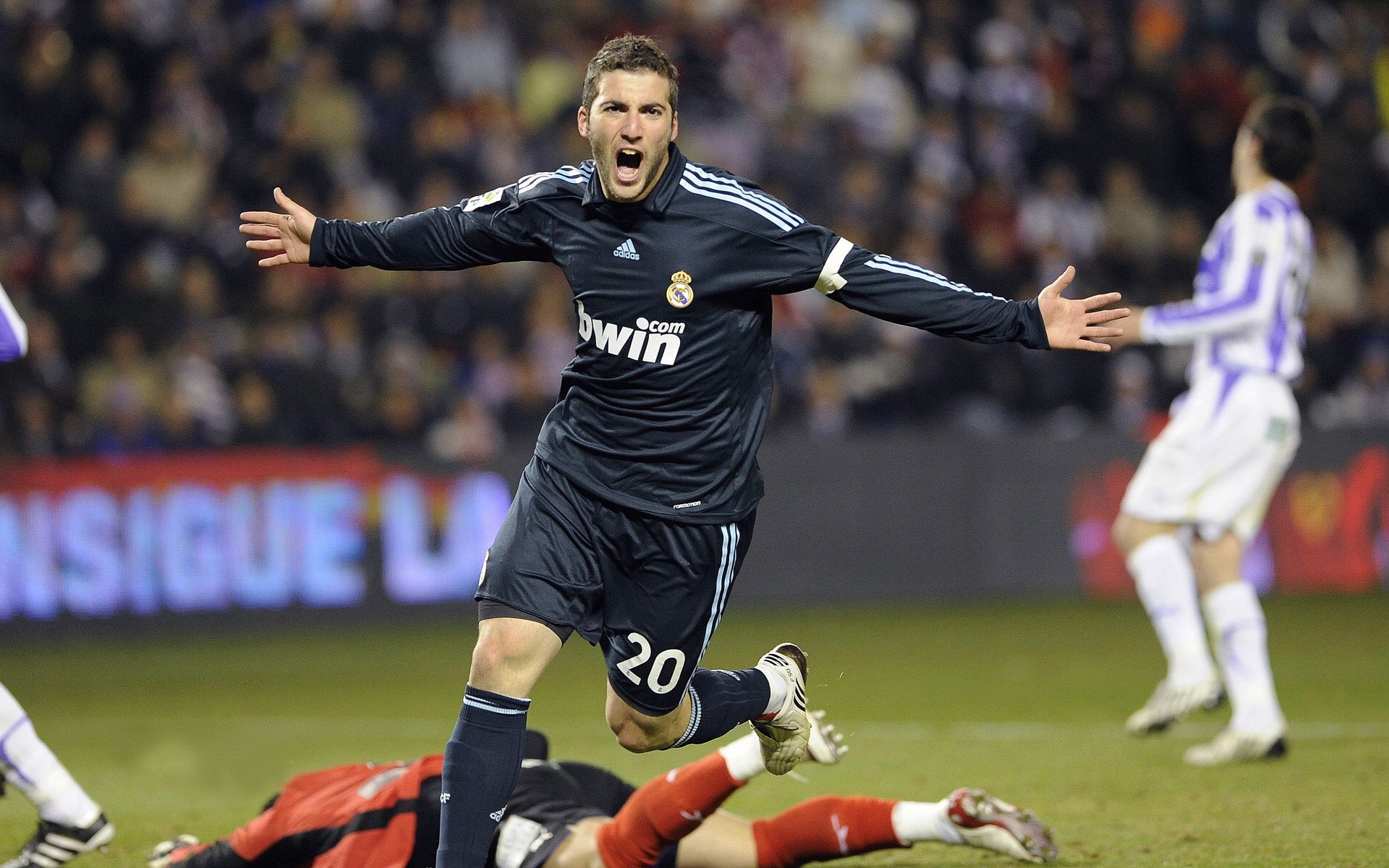 女足世界杯赛场明星访谈,女足世界杯 美女