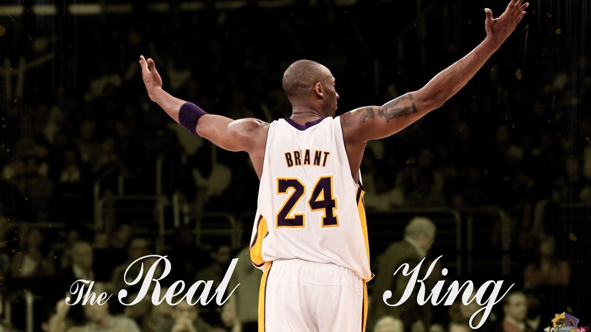 开云官方网站-雄鹿主帅：控制冲动是球队胜利的关键，雄鹿现任主教练是谁